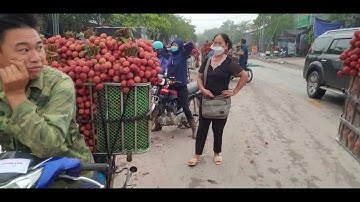 Giá Vải Lục Ngạn Ngày Hè Mà Ngỡ Như Giữa Mùa Thu l Núi Đồi Lục Ngạn