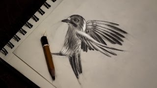 drawing flying bird pencil getdrawings
