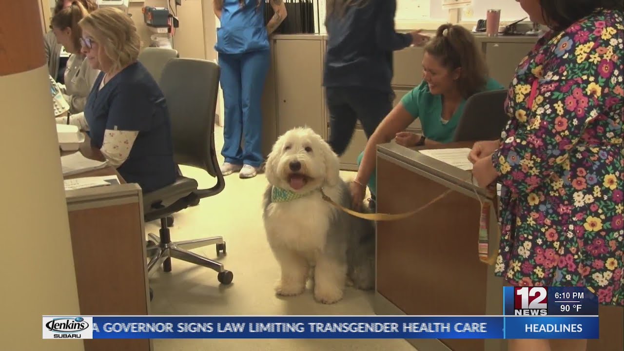 Therapy dog helps lift patients' spirits - YouTube