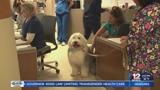 Therapy dog helps lift patients' spirits