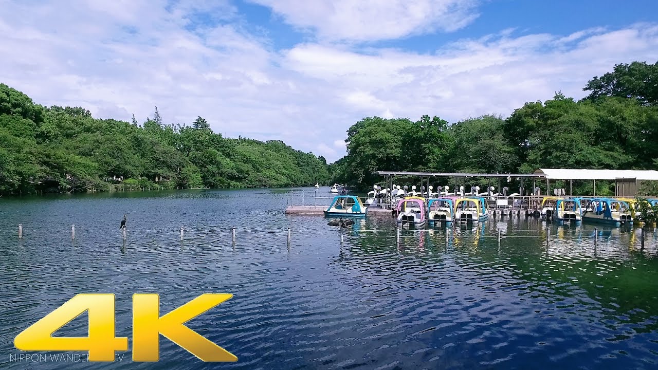 Walking around Inokashira Park, Tokyo - Long Take【東京・井の頭公園】 4K
