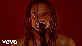 Video thumbnail of "Yannick Noah - Aux arbres citoyens (Un autre voyage Tour au Zénith de Paris 2007)"