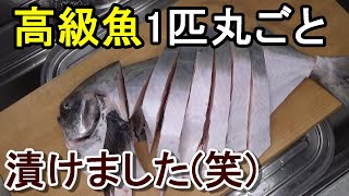 1万円はするマナガツオを全て味噌漬けにして七輪で焼いて喰らう！豪快漁師めし！