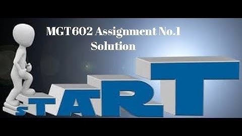MGT602 Assignment No 1 Solution
