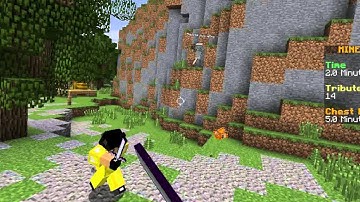 Mineplex Hacker #15 atumpeixe