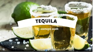 TEQUILA из нектара агавы