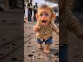 You Won’t Believe What Happened at the Airport! #cartoon #shortvideo #emotional #vairal#monkey