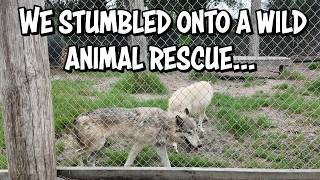 Discovering Genesis Zoological and Wildlife Rescue