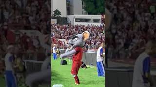 Timbu Dançando O Pinho