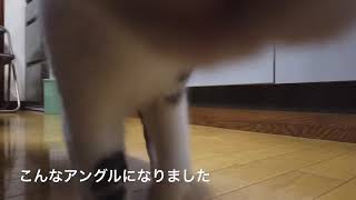 2台目のカメラアングルを模索中
