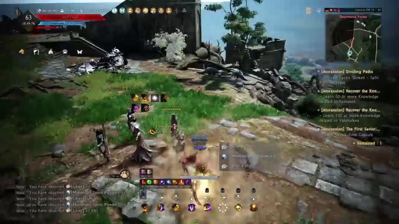 BDO Console Farming for Cosmetics