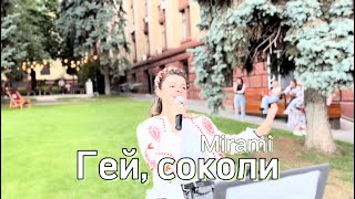 Mirami - Гей, соколи (DVIO cover)