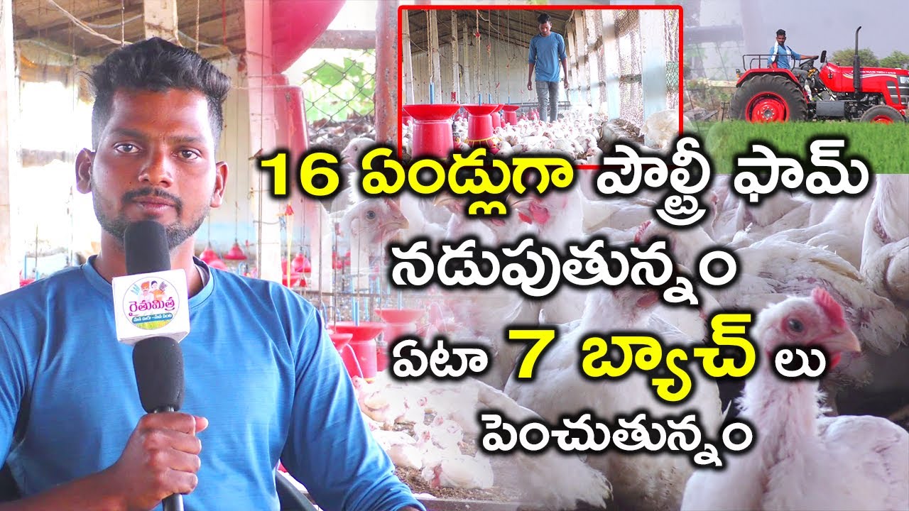 16 ఏండ్లుగా పౌల్ట్రీ ఫామ్ నడుపుతున్నం.. ఏటా 7 బ్యాచ్ లు పెంచుతున్నం | Poultry Farmer |