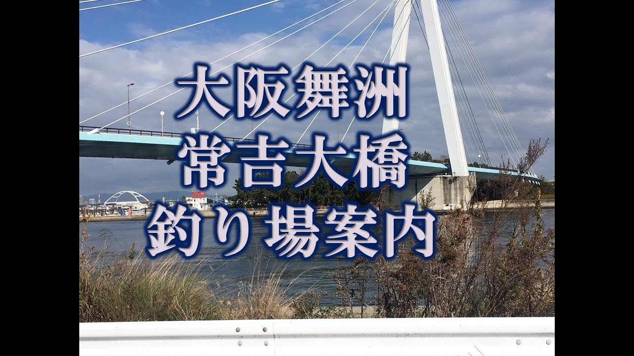 釣り場案内 大阪湾 舞洲 常吉大橋 車横付け可能 スラッジセンター前 チヌ シーバス サビキ釣り Youtube