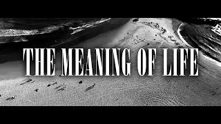 The Meaning Of Life // TAILER