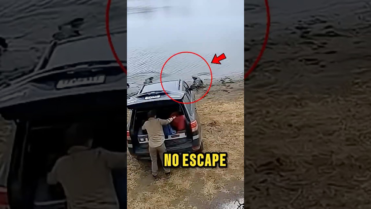 Kiara Advani Aur Garam Paaji Ki Shaadi Ki Baat The Kapil Sharma Show Kapilsharma Comedy Tkss - YouTube Auto PHP Script