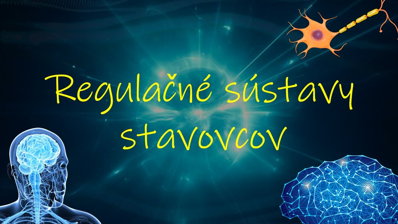 Sprawdzian Z Regulacji Nerwowo Hormonalnej Biológia 7. ročník _ Regulačné sústavy stavovcov - Hormonálna sústava a