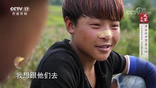 《攻坚日记》 20201107 彝寨新希望（5）|CCTV农业