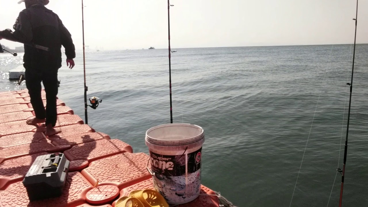 Fishing bait and big fish pattaya bech YouTube
