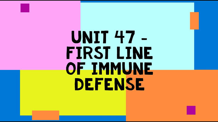 What is the first line of immune defense?