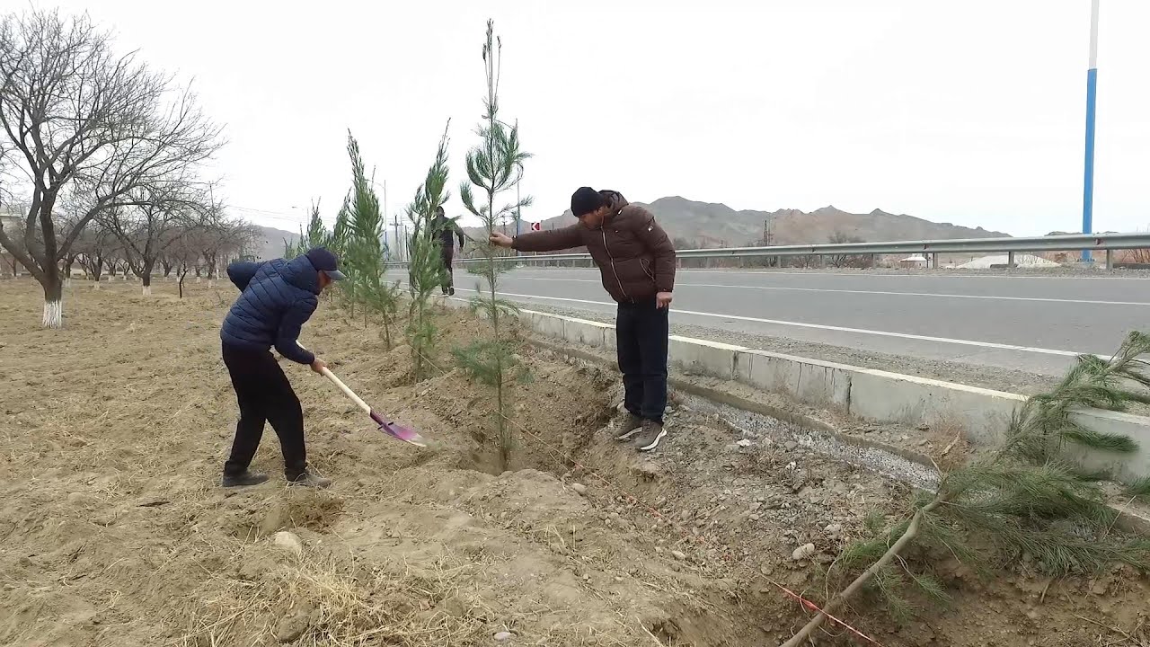 Исфара сабзу хуррам мешавад