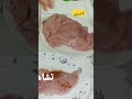 لابيري بلسكالوب