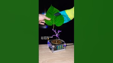 🍃 Music Tesla Coil #leaf #power #experiment #plant