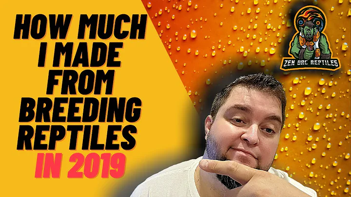 How Much Money I Made In 2019 From Breeding Reptiles / Ball Pythons & Rats!