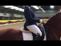 Accent music winning freestyle demi haerkens  dude grade iv para dressage