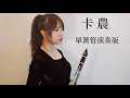 《Clarinet》約翰·帕海貝爾 - (D大調卡農)單簧管/黑管/豎笛演奏版