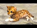 Симулятор КОШЕК #4 Маленький рыжий котик против Собак в Ultimate Cat Simulator с Кидом на пурумчата