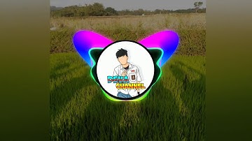 DJ SHAUN THE SHEEP VIRAL