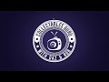 Clean and simple intro logo animation