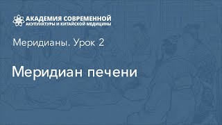 Меридиан печени. Обучение акупунктуре онлайн. Серия курсов Академии Акумед.