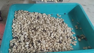 Manufacturer Supplier Exporter of Linear Feeders