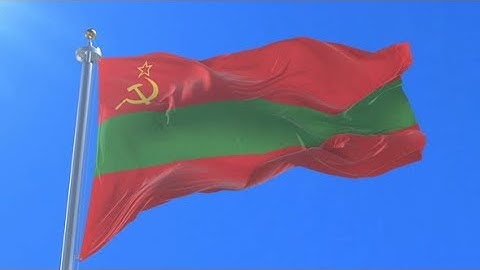 Flag of Transnistria Waving | Motion Graphics - Videohive template