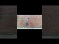 Brothers do you agree🥊#martialartstraining#trending#song#video#boxing#short