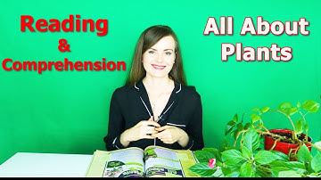 READING and COMPREHENSION Lesson 3. Language Arts. Home distance learning. Homeschooling