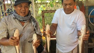 Huli sa Pamamaril ng Dalag - Olongapo City