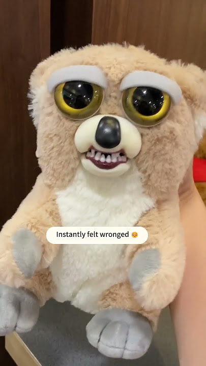 What's going on with this two-faced bear? 😆🐻 #cute#plushies #plushtoys #bear #gift #fyp #toys