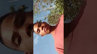 Ita Gatna Re Paagkuna