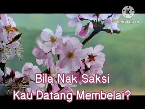 Bila Nak Saksi - Spider (INDOMALAY)