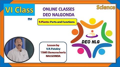6th EM Science Unit9 Plants:Parts and Functions