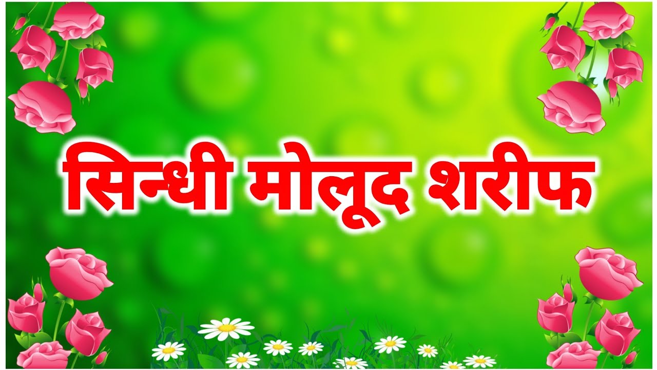 sindhi molud sharif
