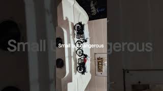 small but dangerous#re#edit