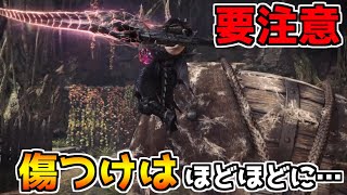 Mhwi 傷つけをしすぎている人は要注意 新環境でのランスの立ち回り方はこれだ モンスターハンターワールドアイスボーン Youtube