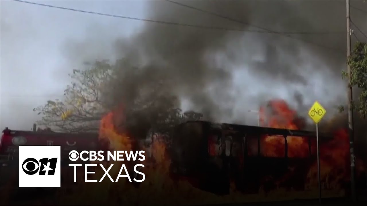 American Airlines cancels flights to Puerto Vallarta amid cartel-related violence