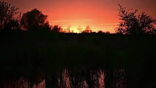 Sunset Over the Marsh | Nature's Quiet Goodbye