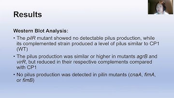 72 Video PilRPilS two component and Agr like quorum sensing systems regulate pilin production and bi
