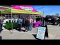 Spikes new look at the 88th Trout Festival car show
